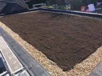 Gründach in Hattingen / Sprockhövel