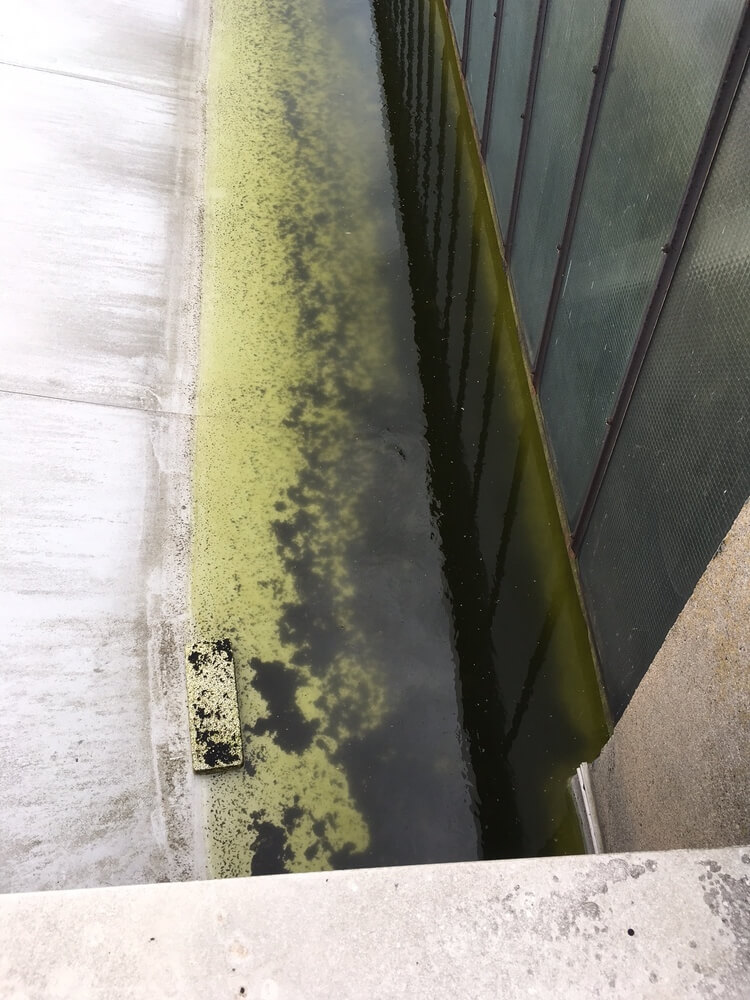 Stehendes Wasser auf einem Dach